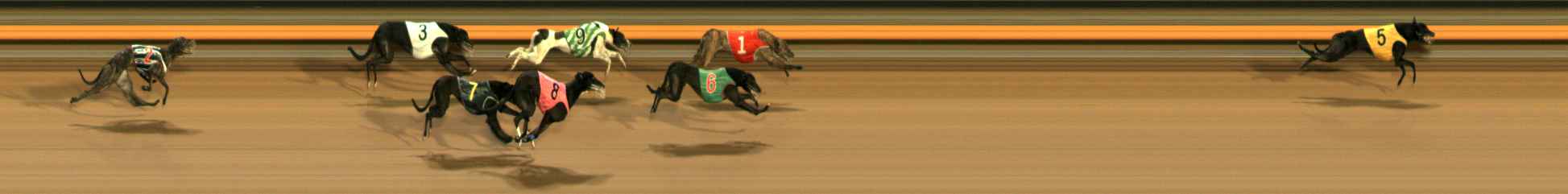 Photo finish for Ballarat Race 13