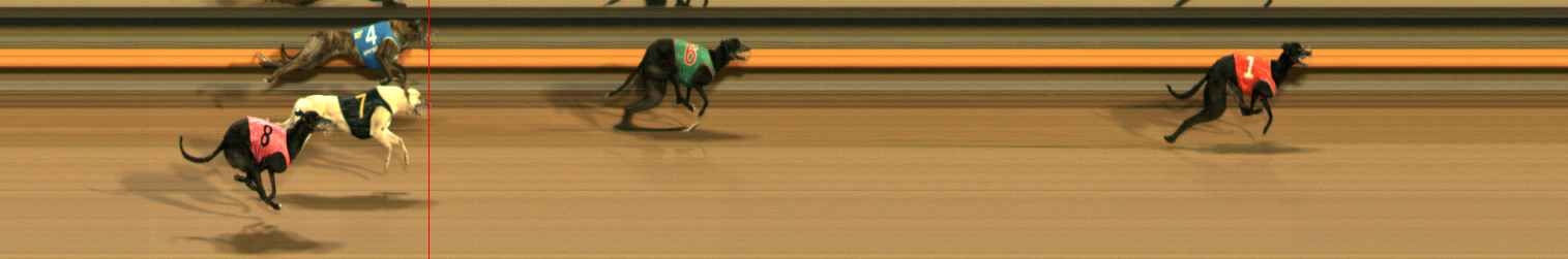 Photo finish for Ballarat Race 14