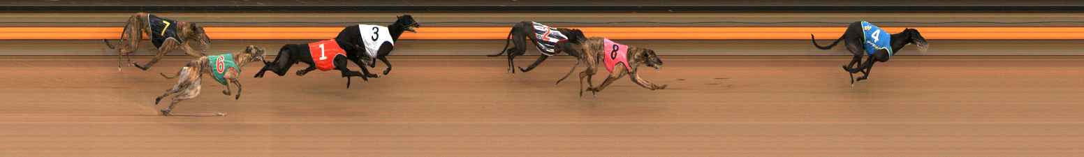 Photo finish for Ballarat Race 4
