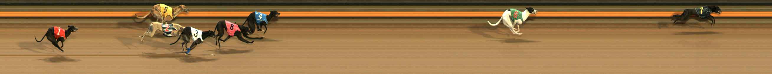 Photo finish for Ballarat Race 8