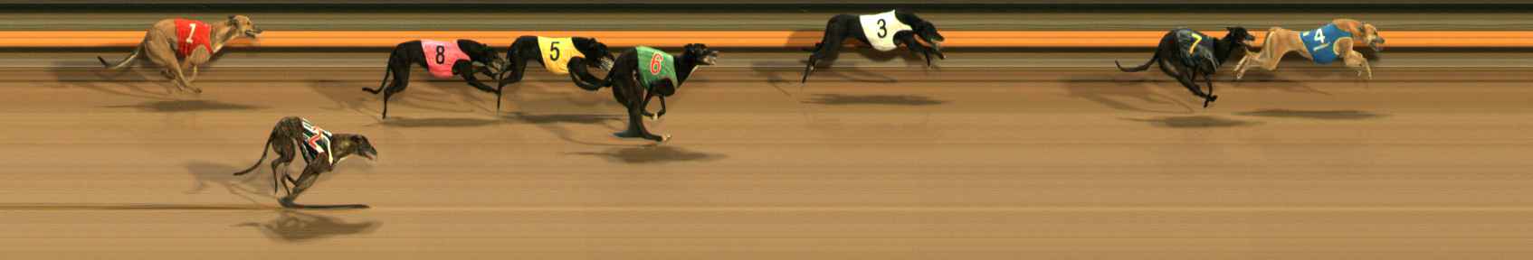 Photo finish for Ballarat Race 9