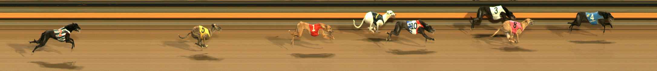 Photo finish for Ballarat Race 11