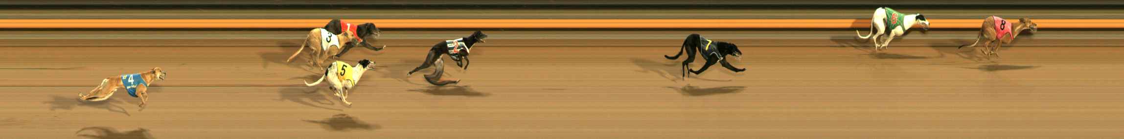 Photo finish for Ballarat Race 12