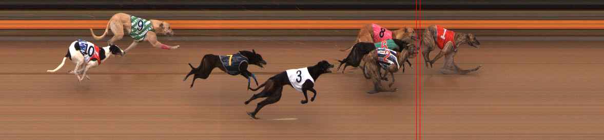 Photo finish for Ballarat Race 3