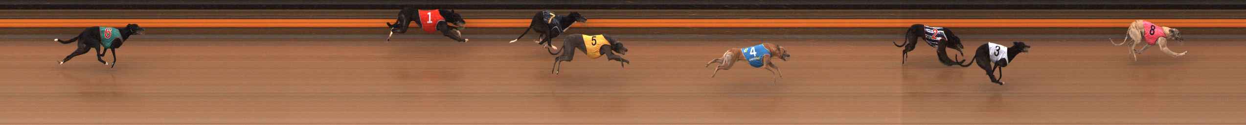 Photo finish for Ballarat Race 4