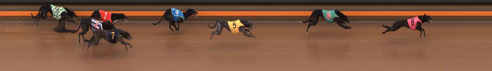Photo finish for Ballarat Race 5