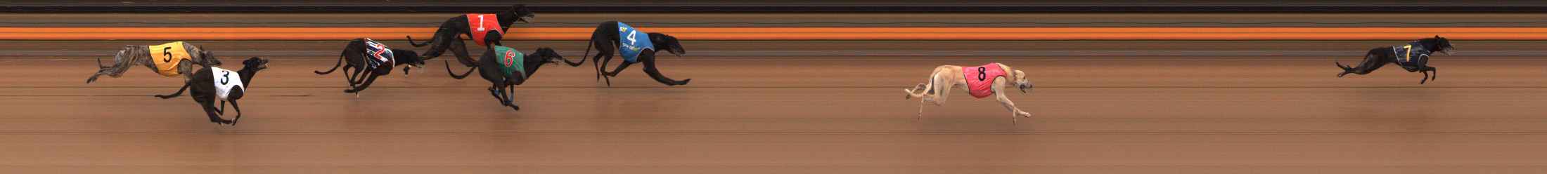 Photo finish for Ballarat Race 6