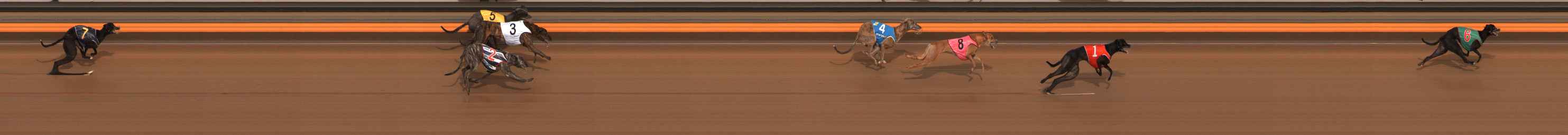 Photo finish for Ballarat Race 8