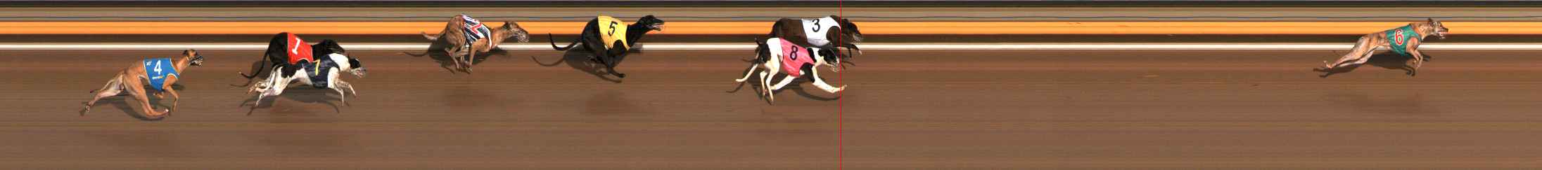 Photo finish for Ballarat Race 10