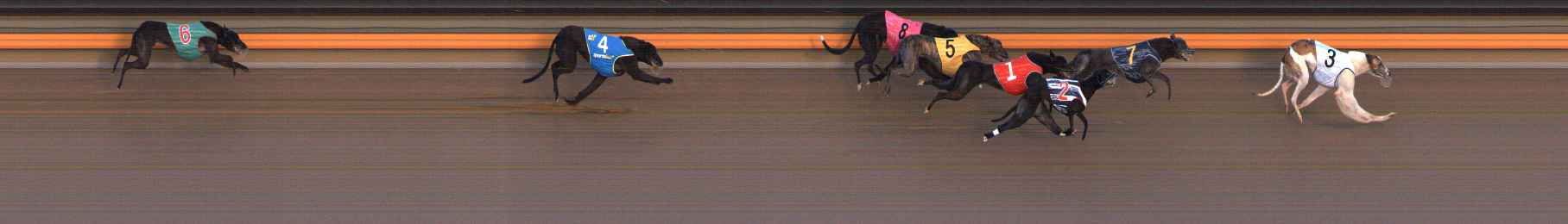 Photo finish for Ballarat Race 12