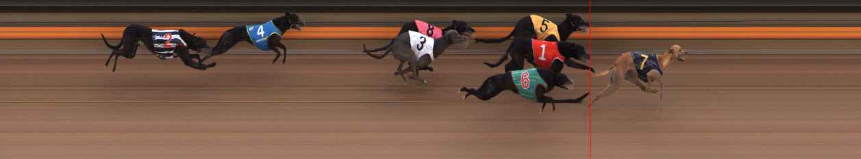 Photo finish for Ballarat Race 13