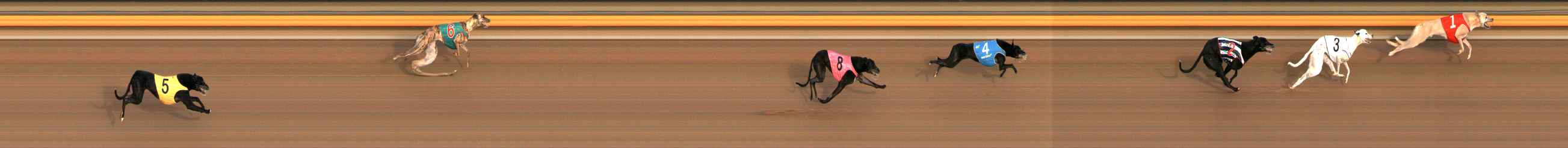 Race result finish photo