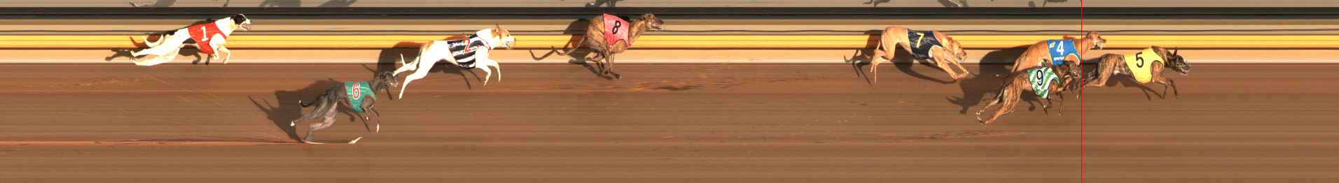 Photo finish for Ballarat Race 2