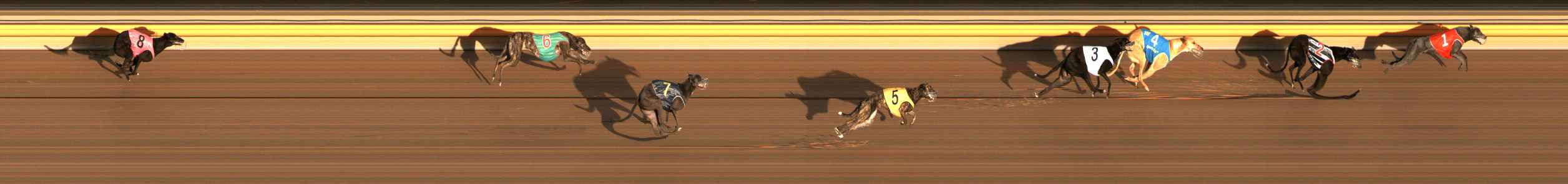 Photo finish for Ballarat Race 3
