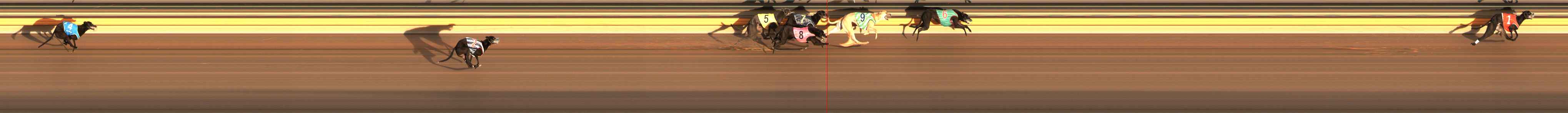 Photo finish for Ballarat Race 4