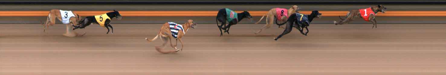 Photo finish for Ballarat Race 5