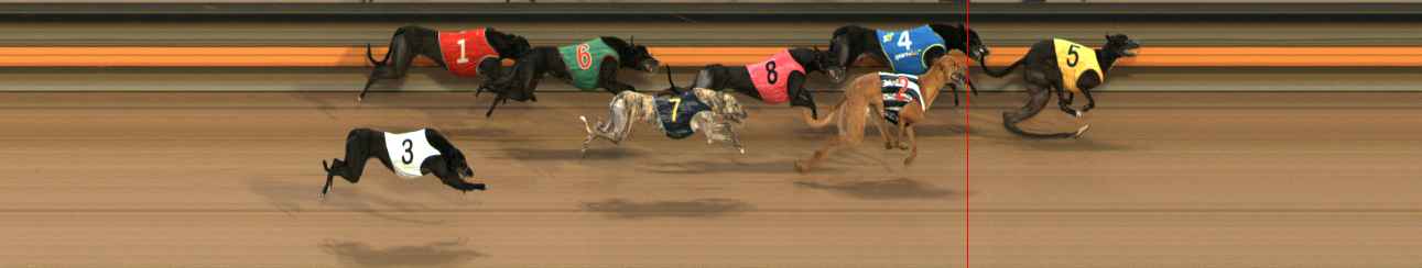 Photo finish for Ballarat Race 6