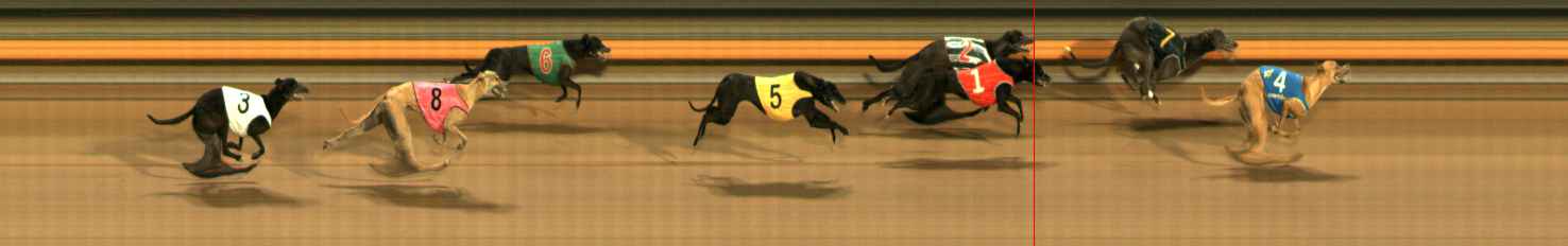 Photo finish for Ballarat Race 10