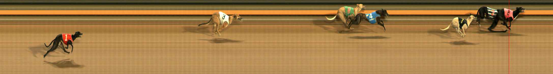 Photo finish for Ballarat Race 11