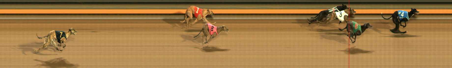 Photo finish for Ballarat Race 12