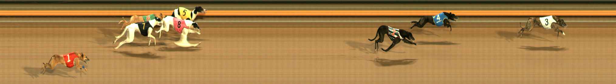 Photo finish for Ballarat Race 14
