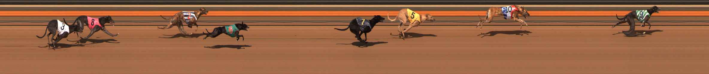 Race result finish photo