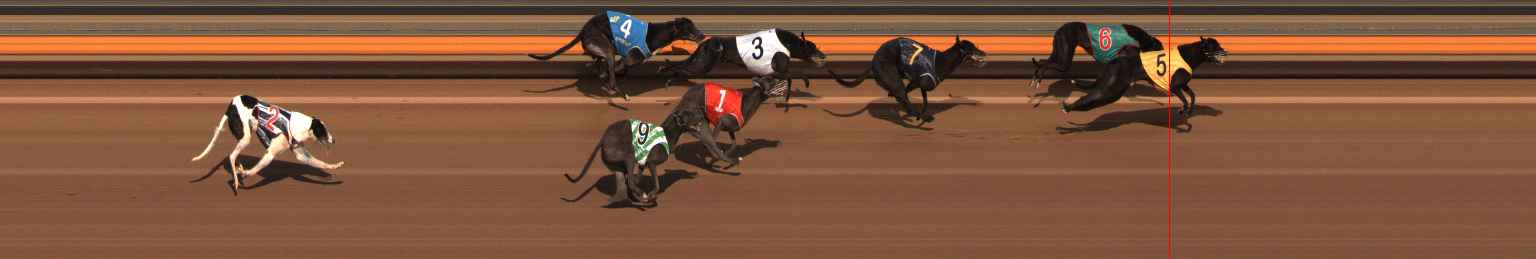 Race result finish photo