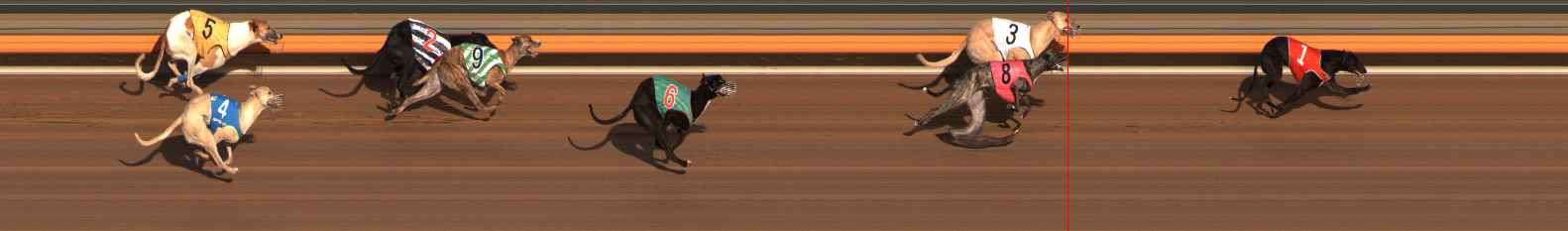 Race result finish photo