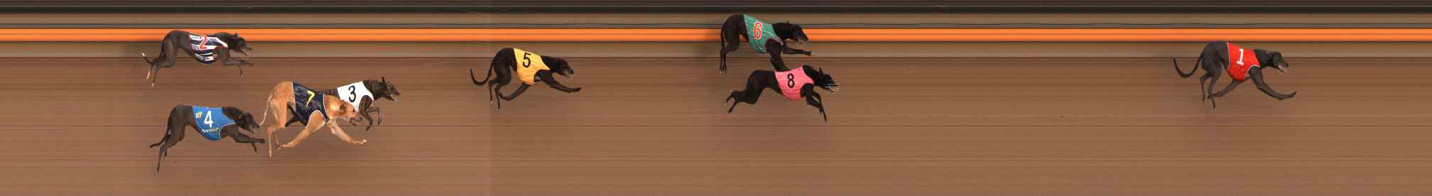 Photo finish for Ballarat Race 2