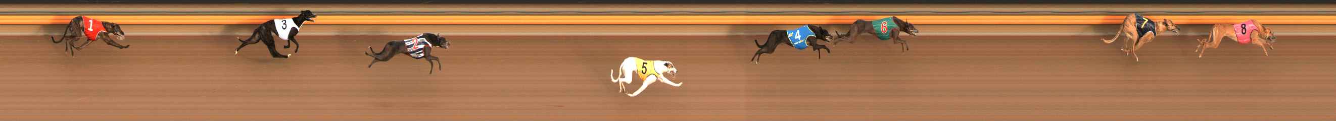 Photo finish for Ballarat Race 3