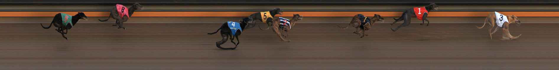 Photo finish for Ballarat Race 5