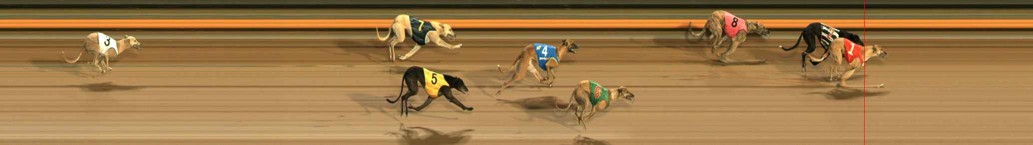 Photo finish for Ballarat Race 8