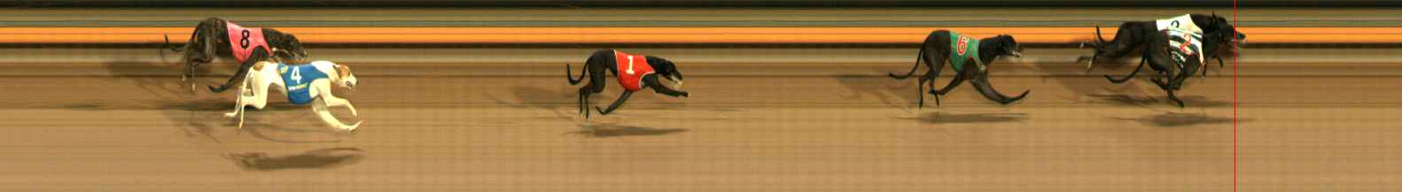 Photo finish for Ballarat Race 9