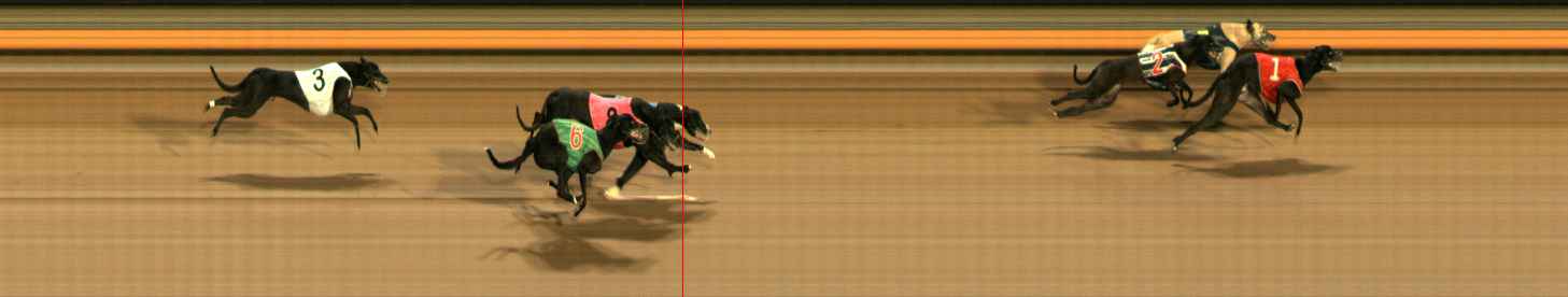 Photo finish for Ballarat Race 10