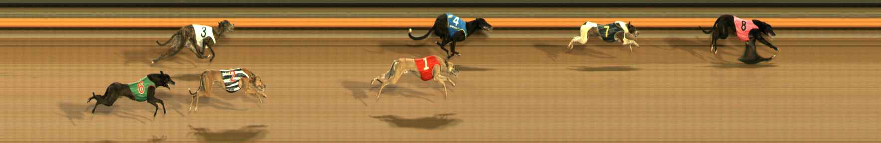 Photo finish for Ballarat Race 11