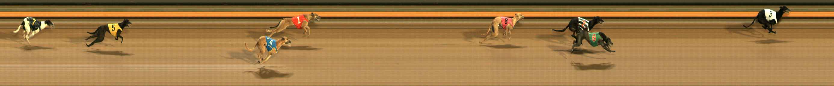 Photo finish for Ballarat Race 12