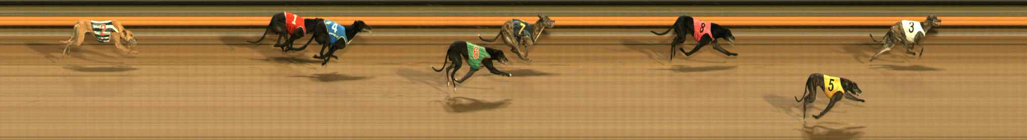 Photo finish for Ballarat Race 13