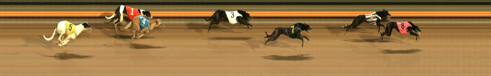 Photo finish for Ballarat Race 14