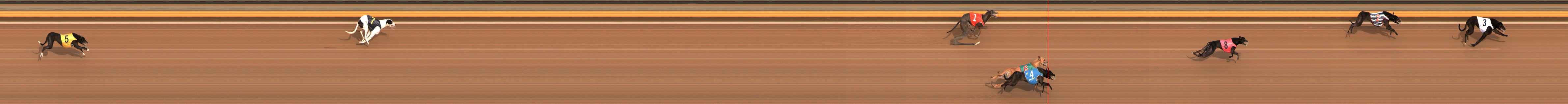 Race result finish photo