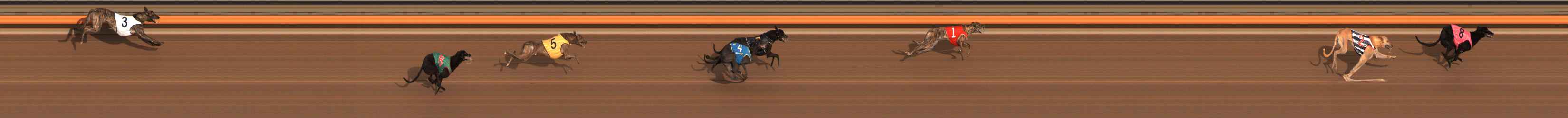 Photo finish for Ballarat Race 2