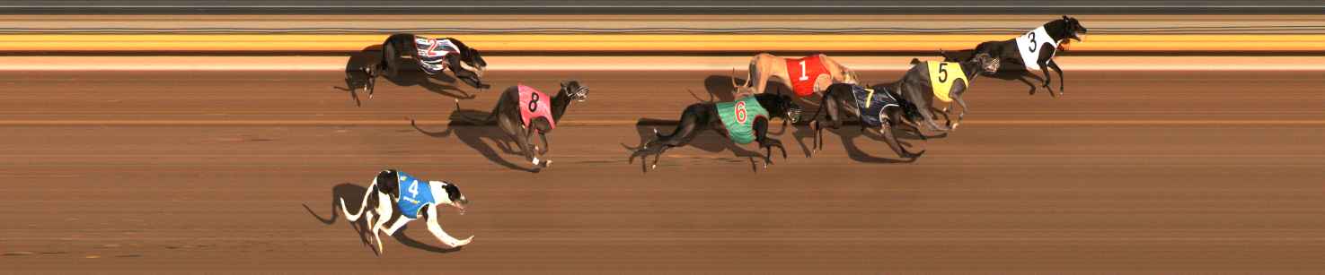 Photo finish for Ballarat Race 3