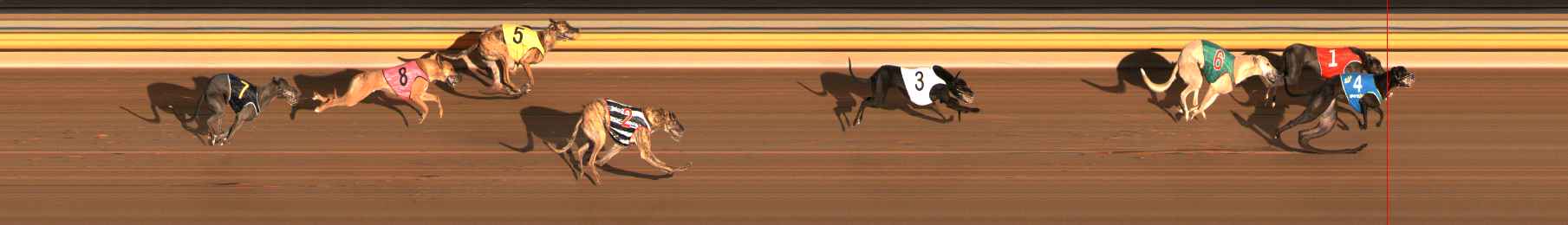 Photo finish for Ballarat Race 4