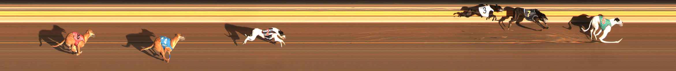 Photo finish for Ballarat Race 5