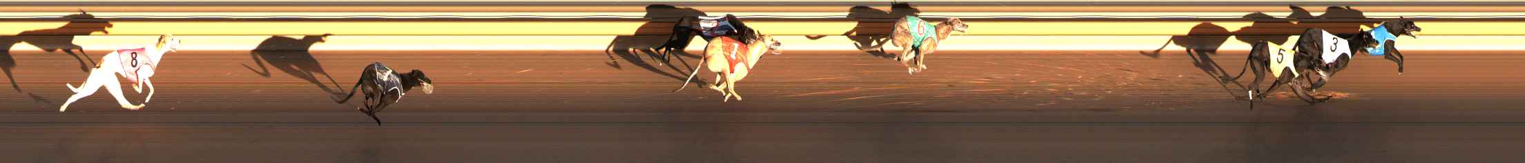 Photo finish for Ballarat Race 6