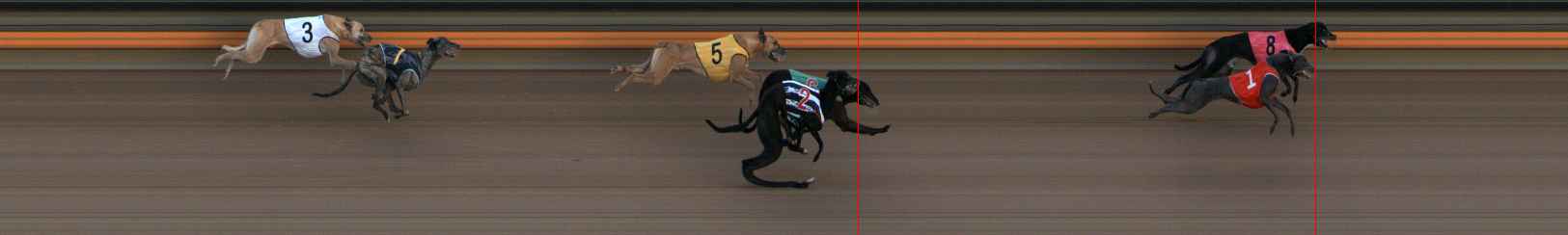 Photo finish for Ballarat Race 7