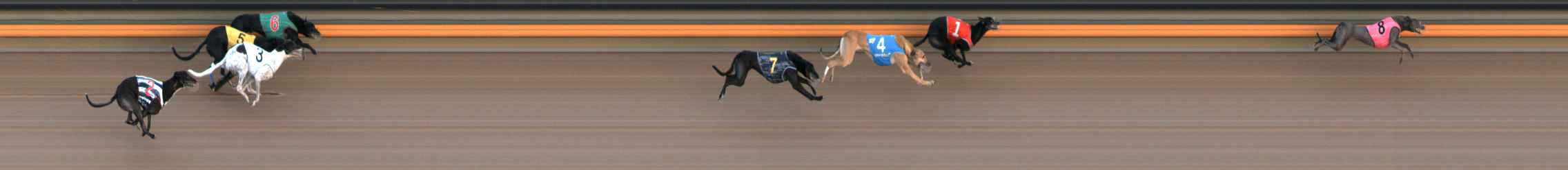 Photo finish for Ballarat Race 8