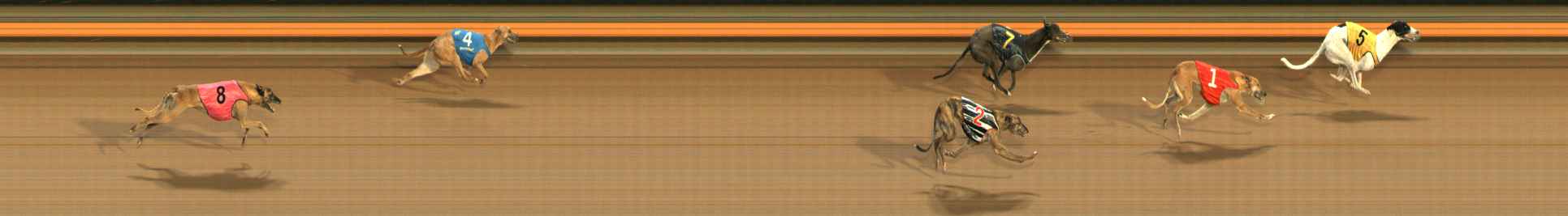 Photo finish for Ballarat Race 9