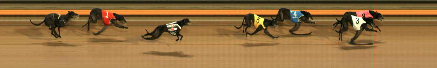 Photo finish for Ballarat Race 10