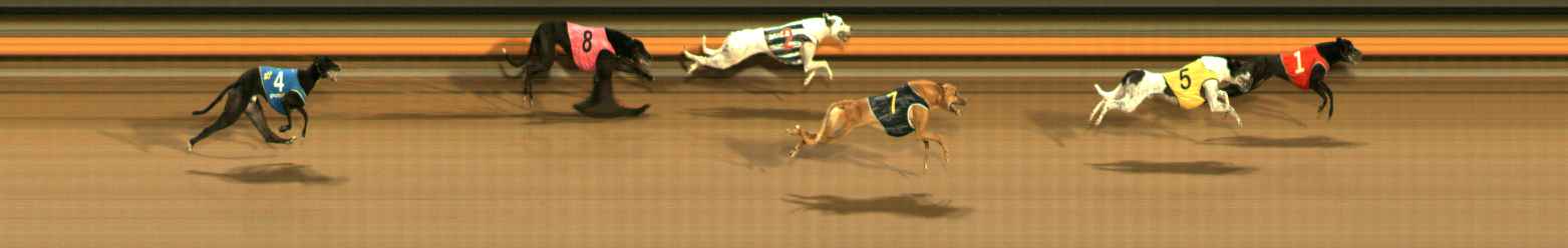 Photo finish for Ballarat Race 12
