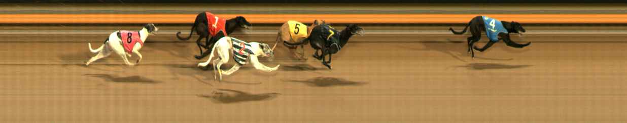 Photo finish for Ballarat Race 13